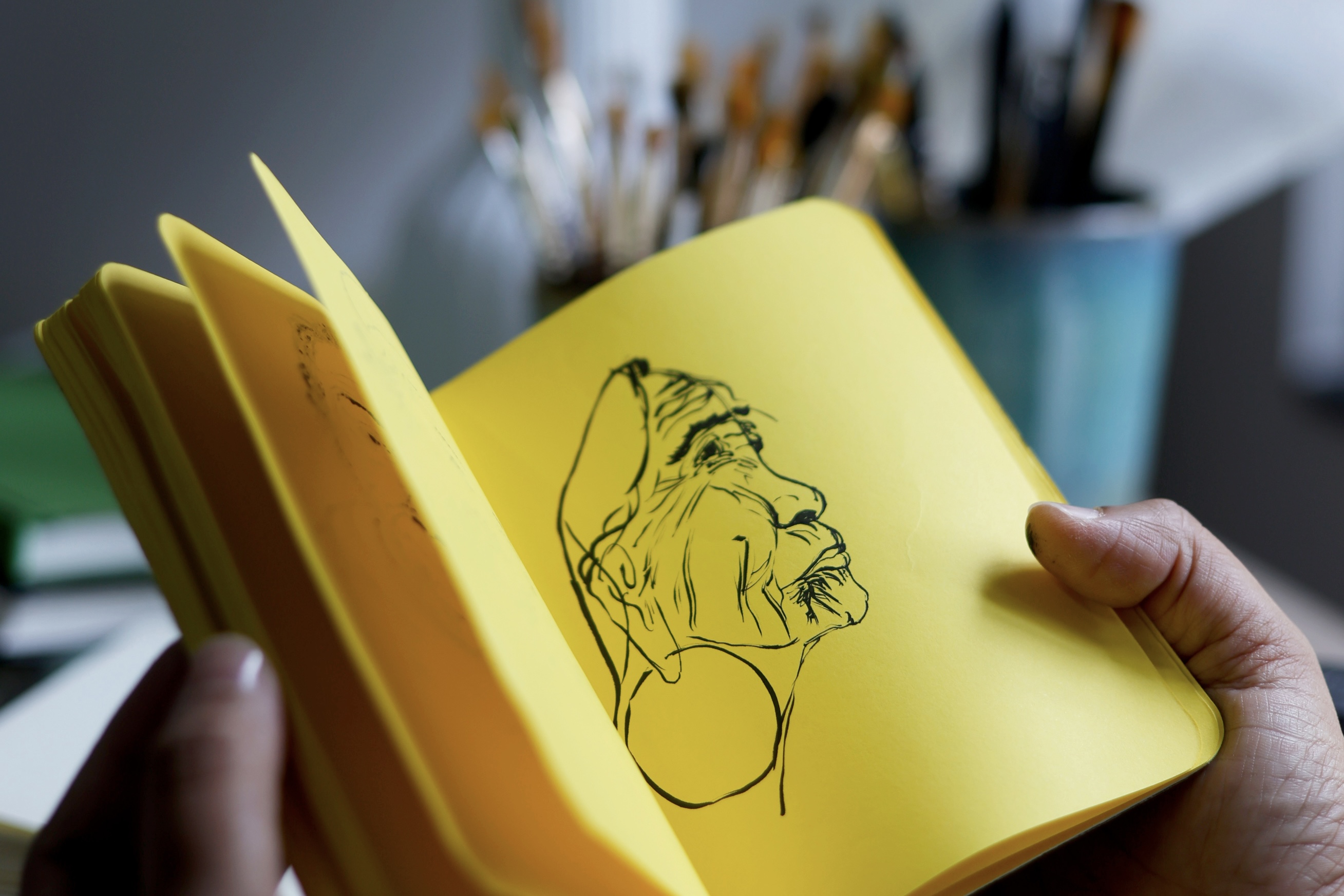 Sketchbook